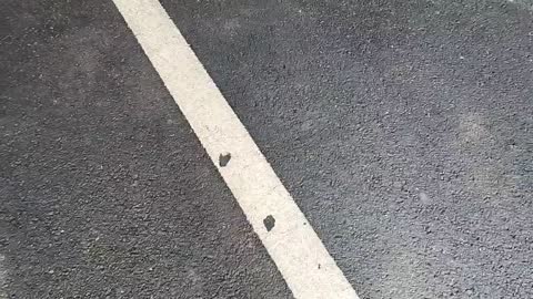 주륵주륵르르 - [클립]이라333 마지막 인사 : 너 계란말이 진짜 못하...