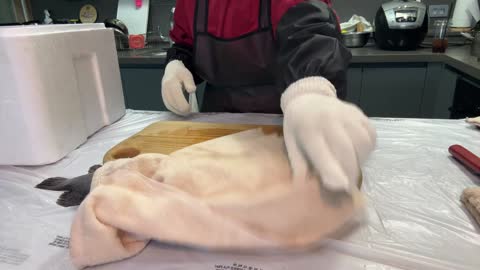 키리에.. - [클립]생선 튀어오르기 밍턴 결국 극대노