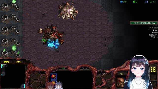 스타 생컨 썸네일