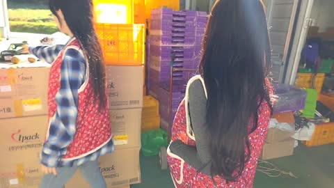 개망망이♪ - [클립]오아 키위 거래 내역(박스)에 이상호 보고 놀란 ...