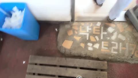 주륵주륵르르 - [클립]낙타(스맵): 죄송해요 오늘 제 친구들이 날씨...