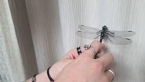 Deadlift_220 - 카라미님 집에서 도망치고 붙잡히기 까지 레전드 풀버...