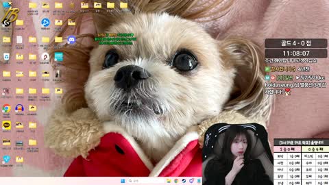 쇠구 - [클립][YB]오늘도 취업 솔랭ck 오늘은 이긴다