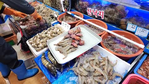 플라즈마단 - [클립]야옹민지 : 좀 미안한 마음이 들어서.. / 김봉준 ...