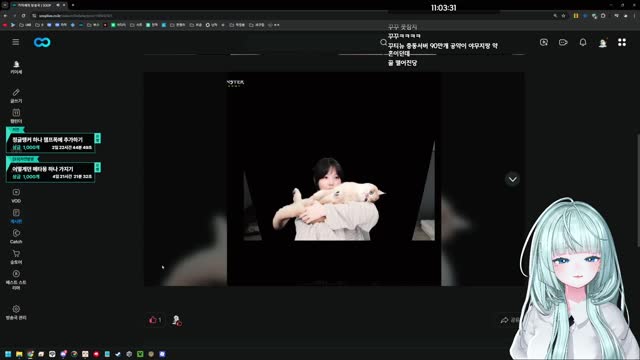 [캐치]같은 꾸씨인데 이렇게 다를까 꾸티뉴랑