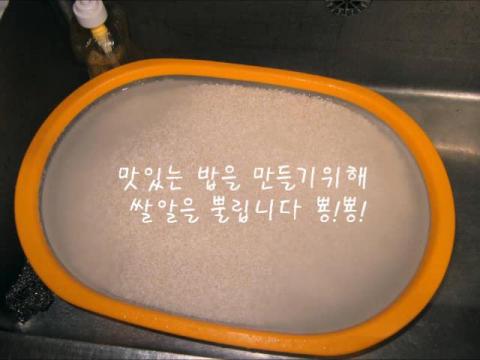 셀리의 1번째 봉사활동