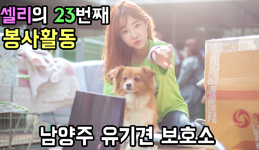 셀리의 23번째 봉사활동
