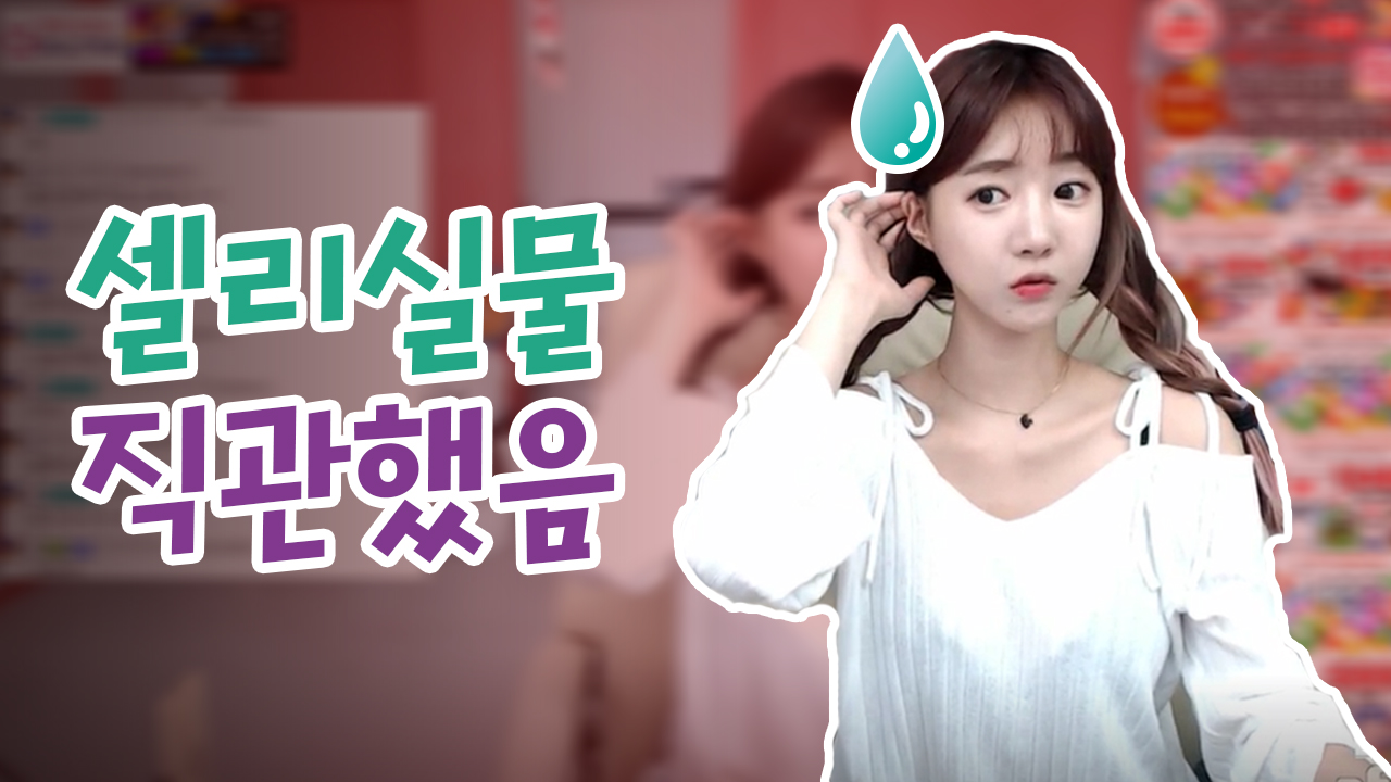 셀리 실물