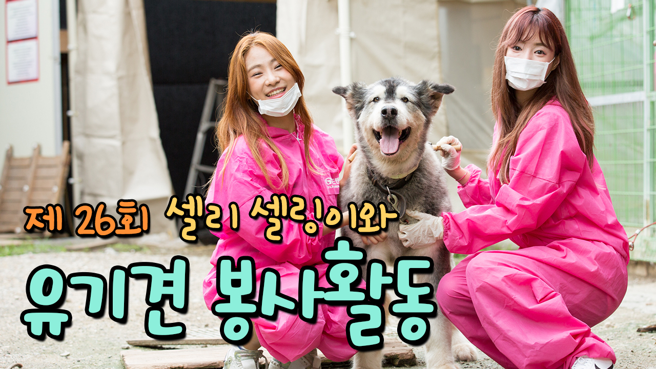 제 26회 셀자매와유기견 봉사활동