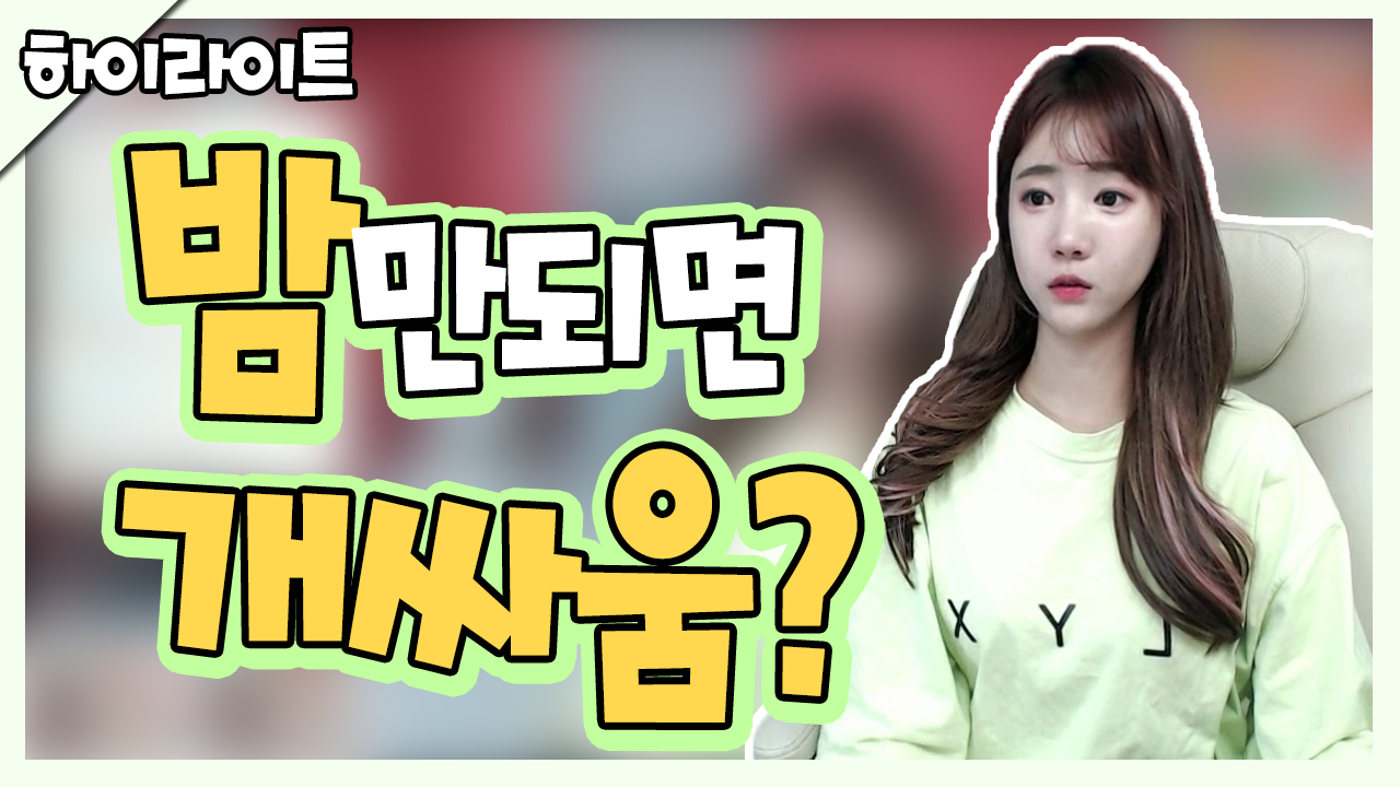 개싸움?