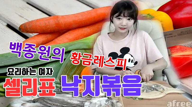 17.08.11 오늘의 요리 - 낙지볶음