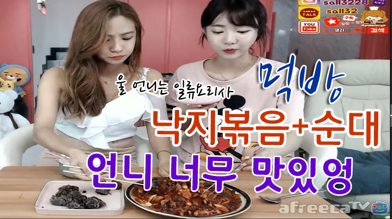 17.08.11 낙지볶음+순대 먹방