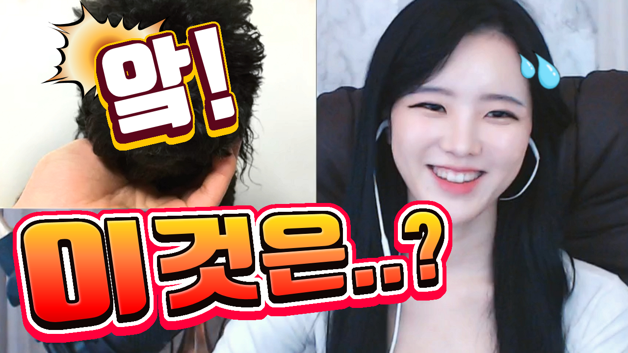고두림] 앜! 이것은...(feat.팬과 지인의 애완견들)