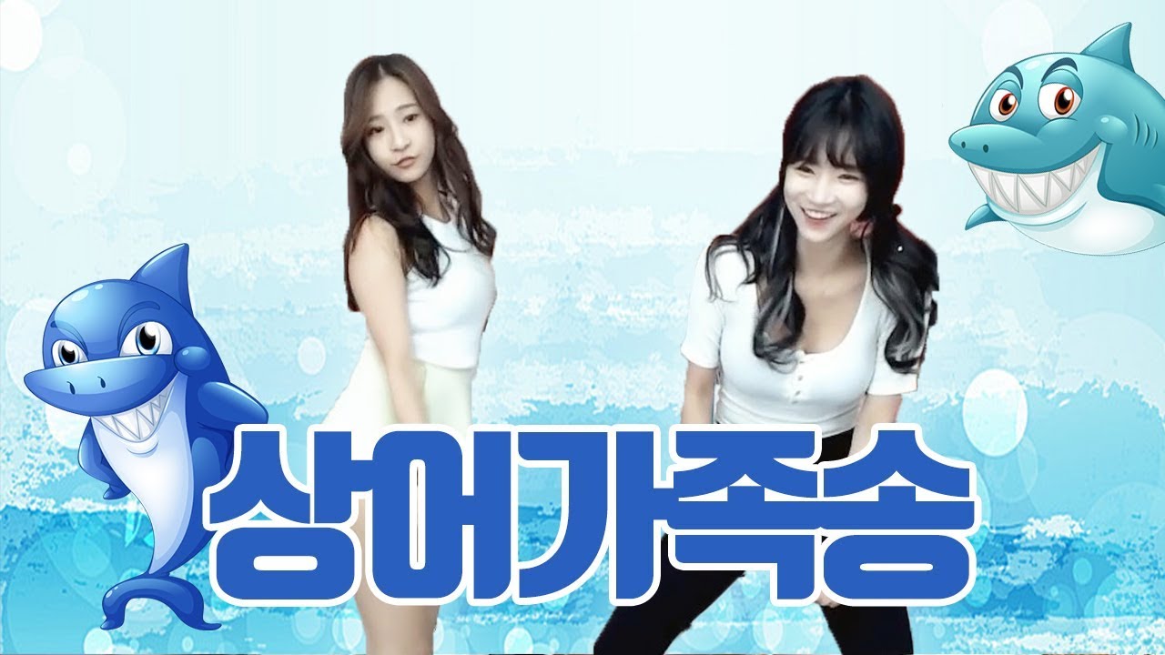 아기상어 뚜루루뚜루~~ 귀여운 상어가족송
