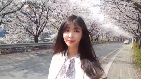 임지우 강아지 소이와 벚꽃산책