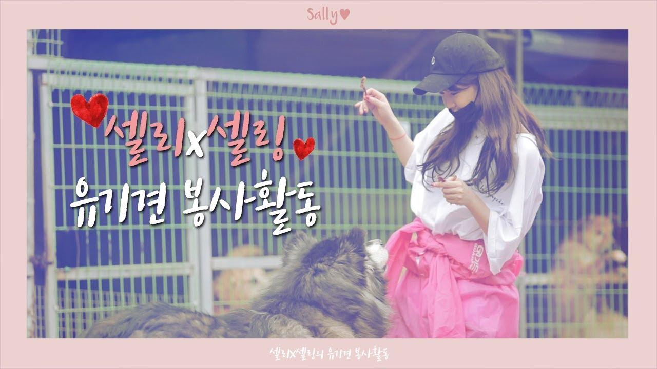 사랑스러운 유기견 아가들... 예뻐해주세요...