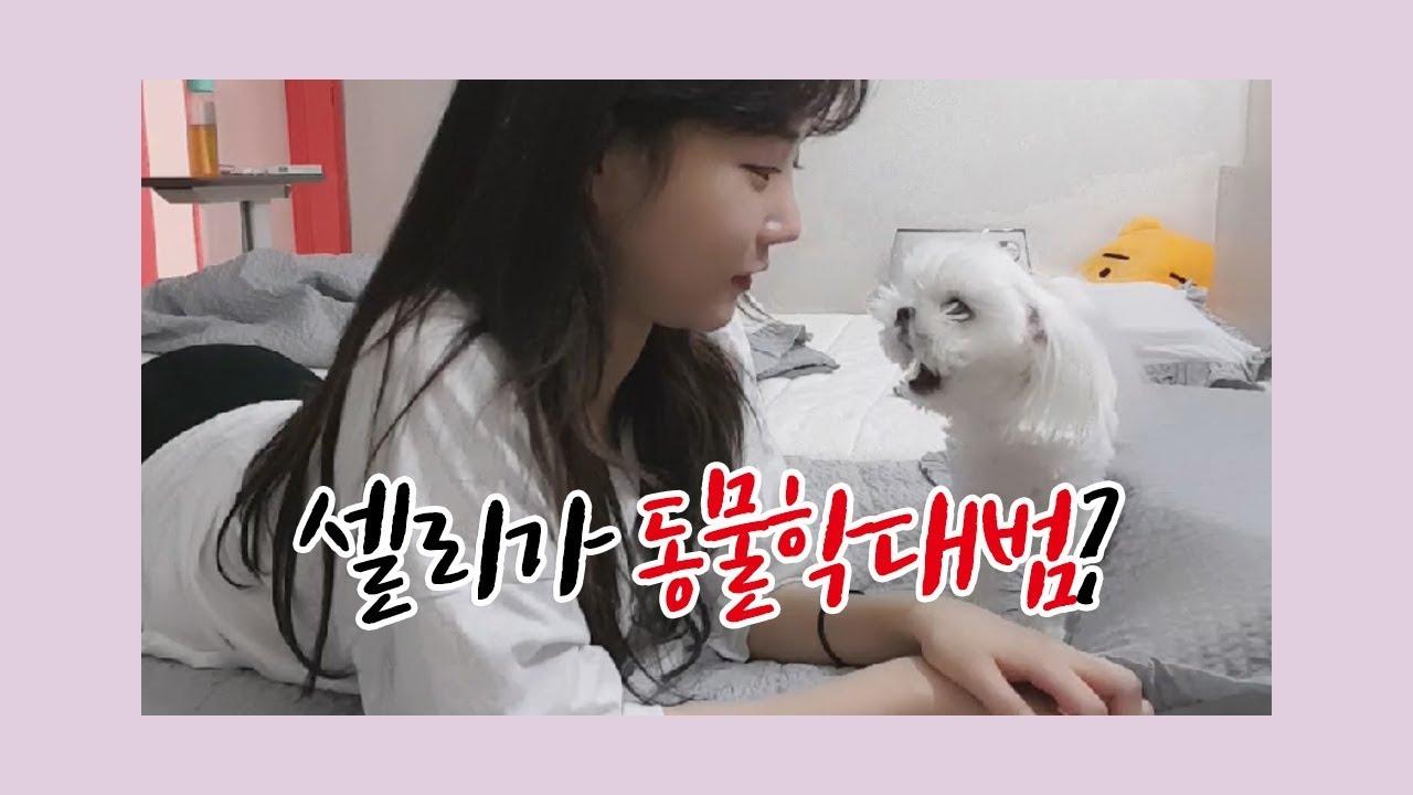 강아지 학대하는거 아니에요