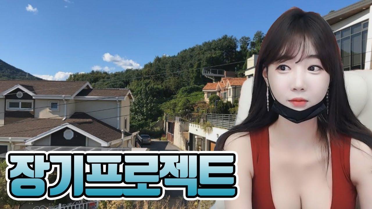 셀리의 장기프로젝트 돌입!! 과연 뭘까!