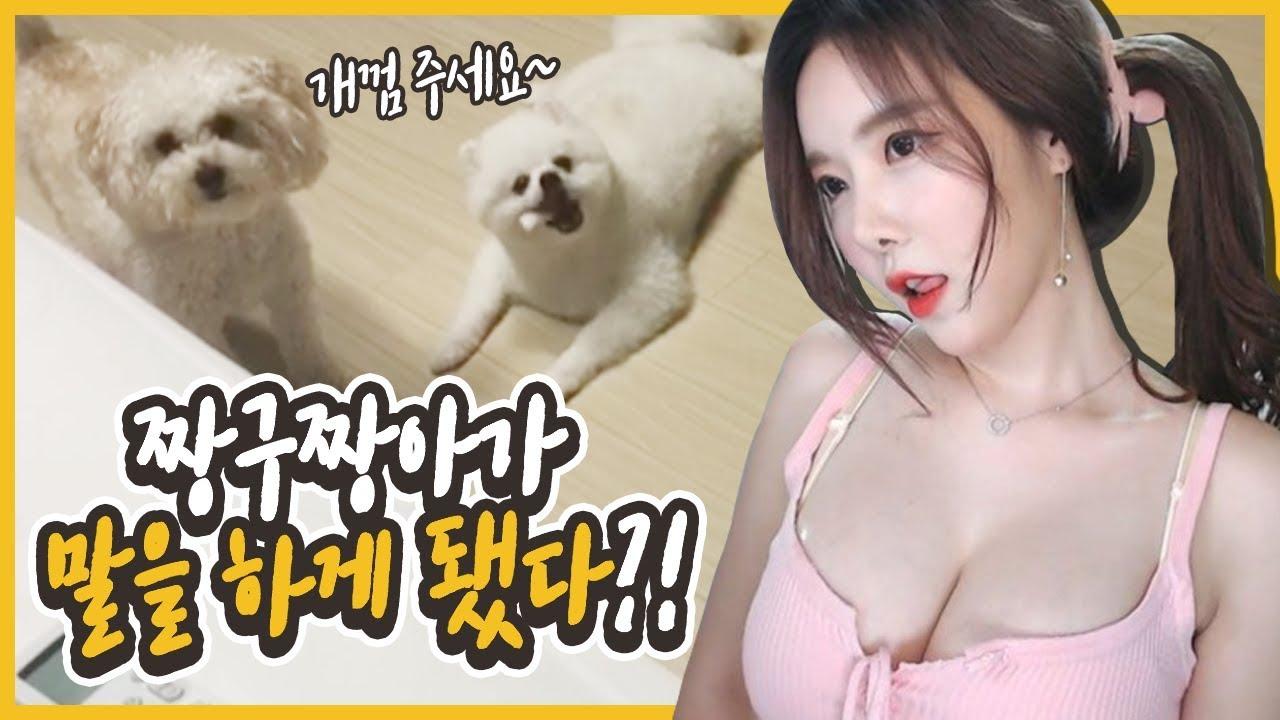 세상에 이런일이 제보!! 반려견 짱아 &짱구가 말을하다? 강아지 속마음 더빙