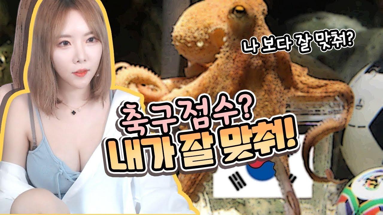 점쟁이 문어! 이제는 이슬이가 다 맞춰줄게!!