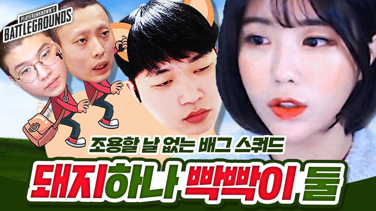 돼지 한마리와 두 빡빡이들과 함께 배그 스쿼드. 배그 하이라이트