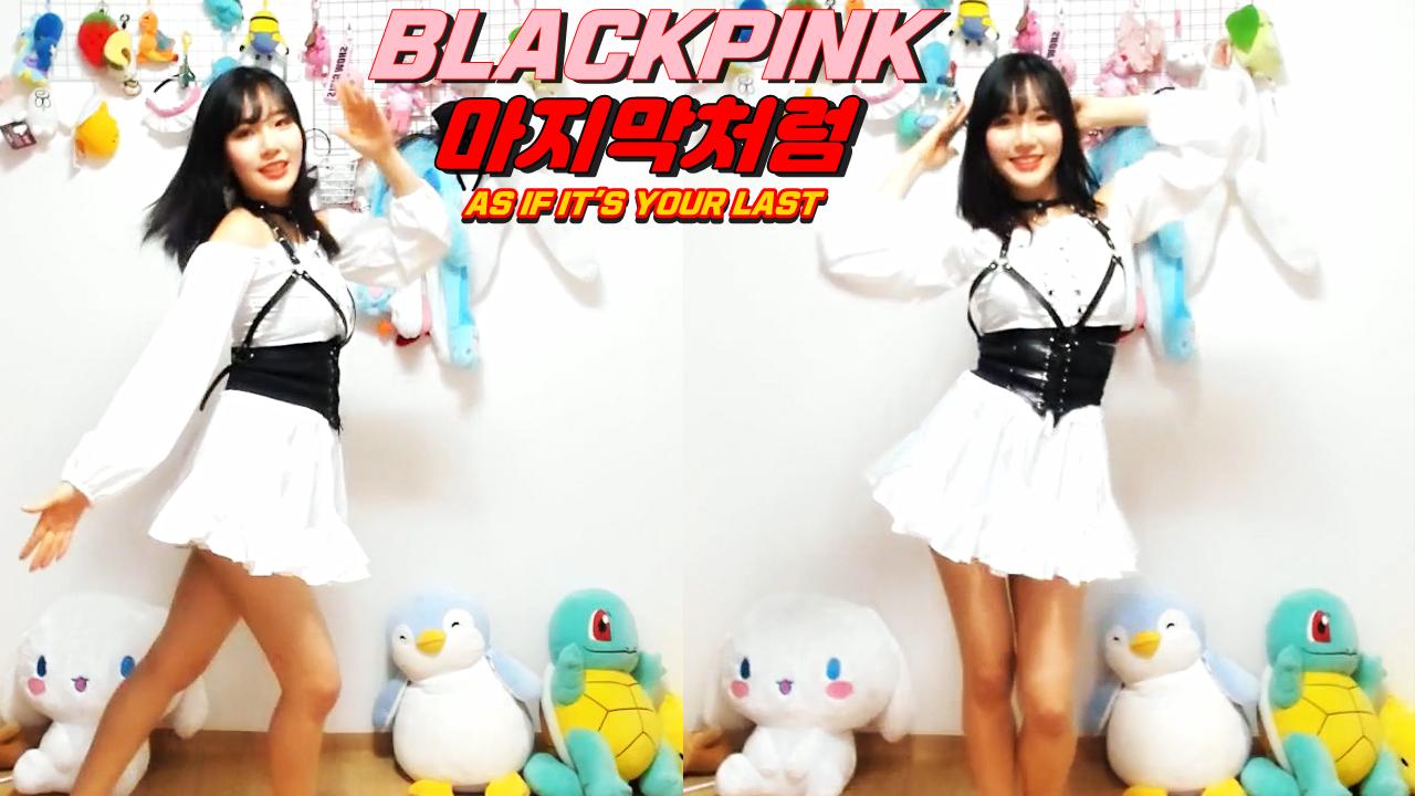 수련S2 ! 블랙핑크-마지막처럼 커버댄스!