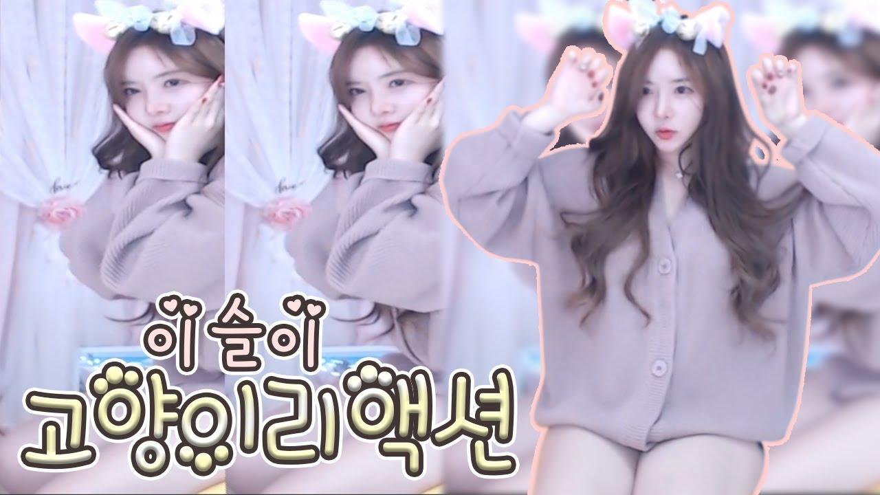 세상에서 가장 섹시한 고양이 고양이송 리액션!