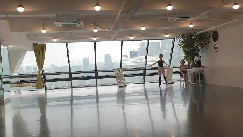 발레 오달리스크