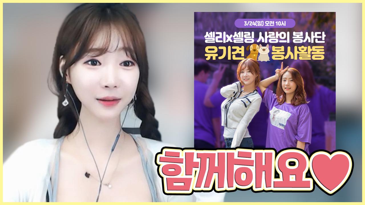 팬분들과 함께하는 유기견 봉사활동 신청해주세욤