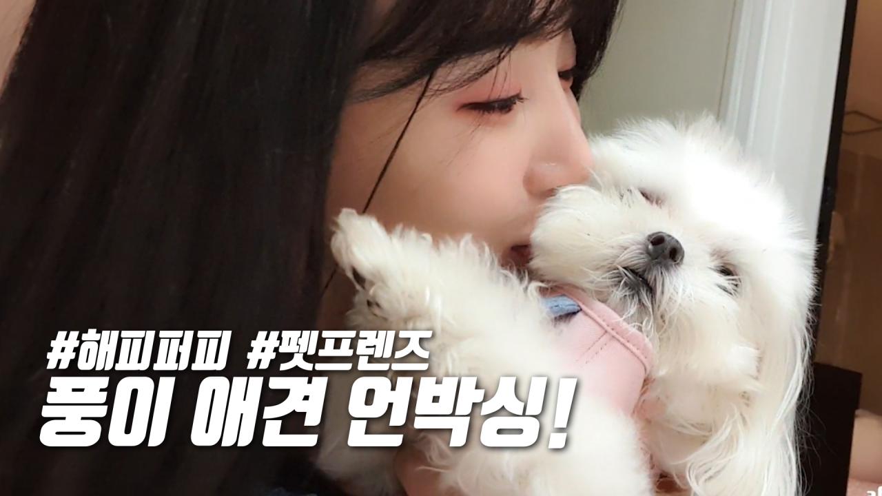 셀리풍이를 위한 애견 언박싱!!