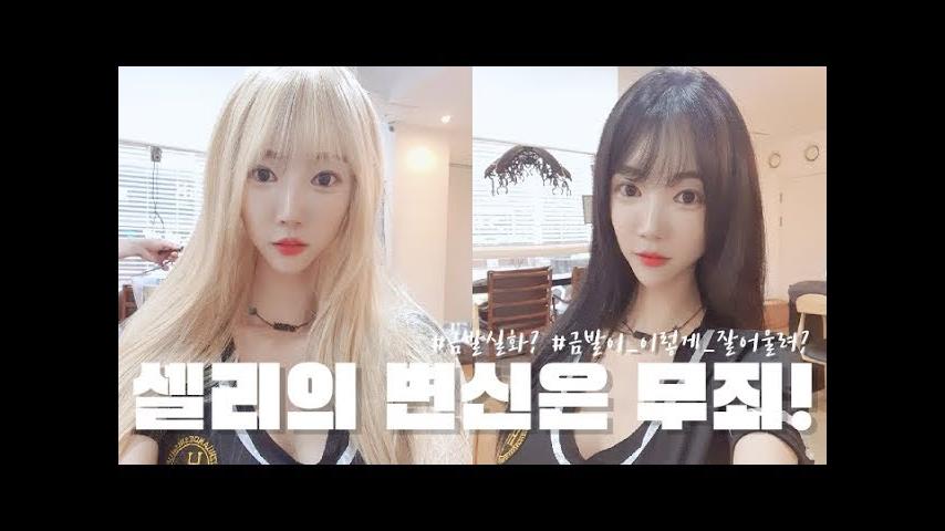셀리 전체머리 탈색?