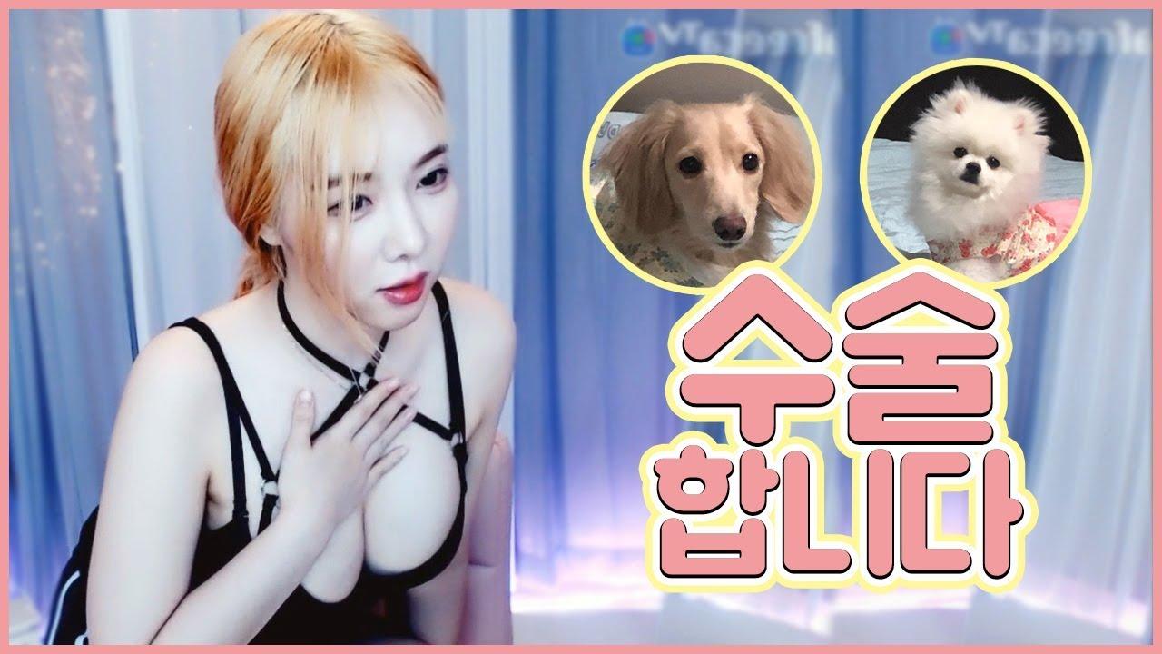 저희 강아지들이 슬개골탈구 수술을 받아야한대요 ㅜㅜ