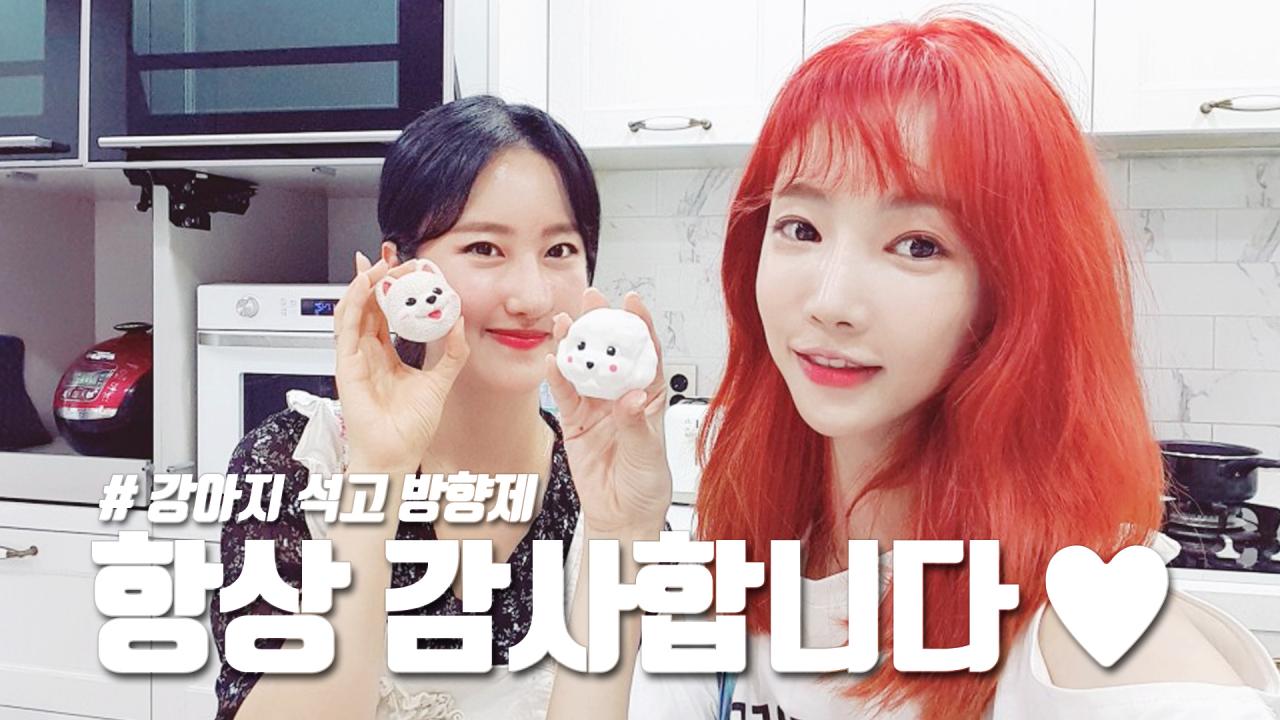 셀리항상 응원해주시는 셀럽분들을 위한 선물