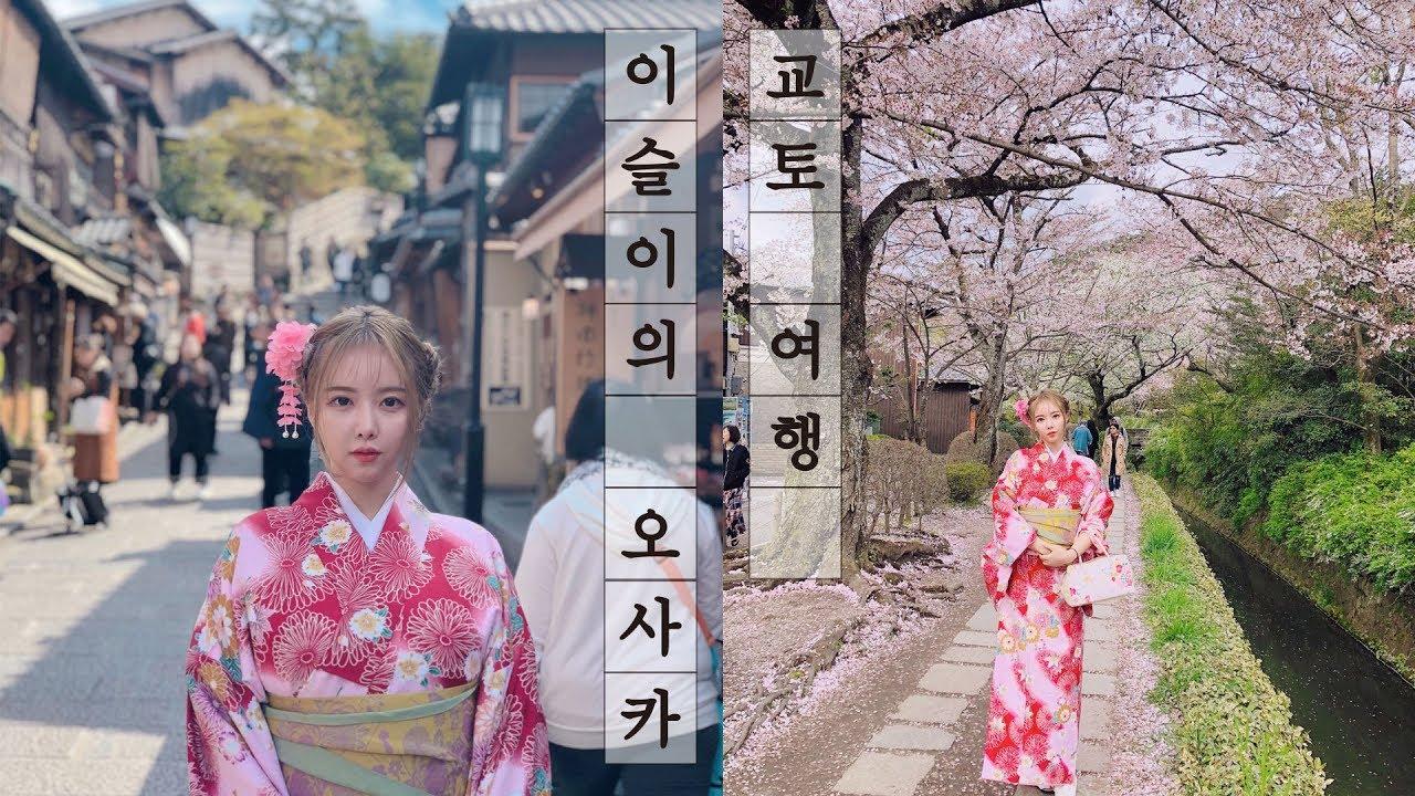 일본 오사카,교토 3박4일 여행꿀팁 이 영상보면 일본여행 마스터 벚꽃놀이!