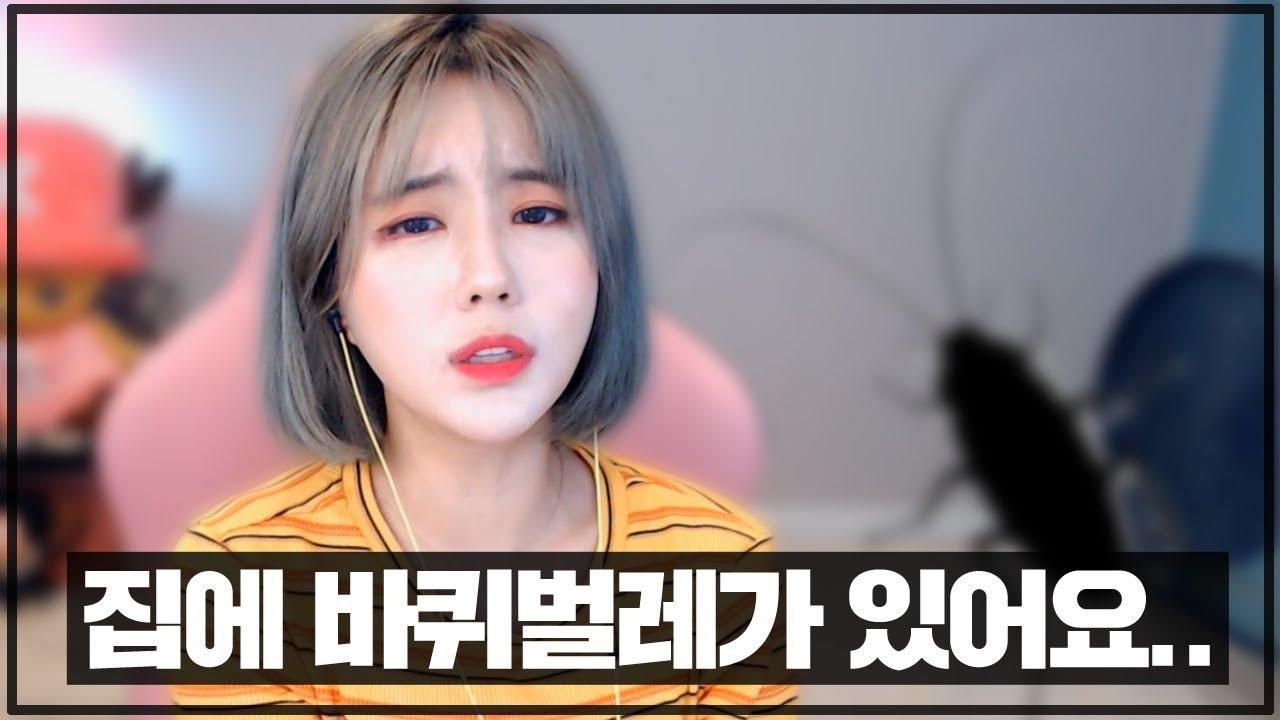 아니 자고있는데 바퀴벌레가 제 구멍()에 들어가면 어떡해요;;;