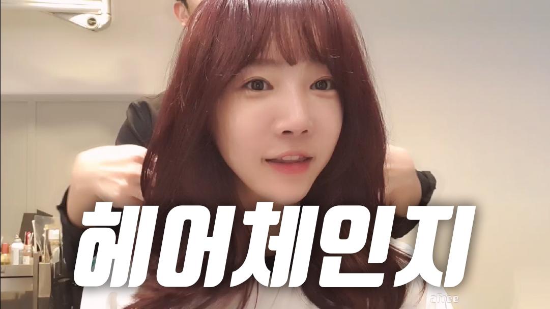 셀리 뿌염할 때가 됐어요!