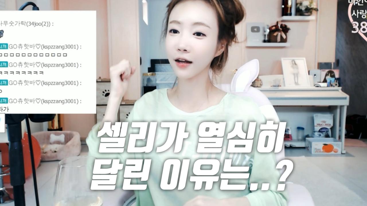 셀리 호기심 많은 셀리가 열심히 달린 이유는..?