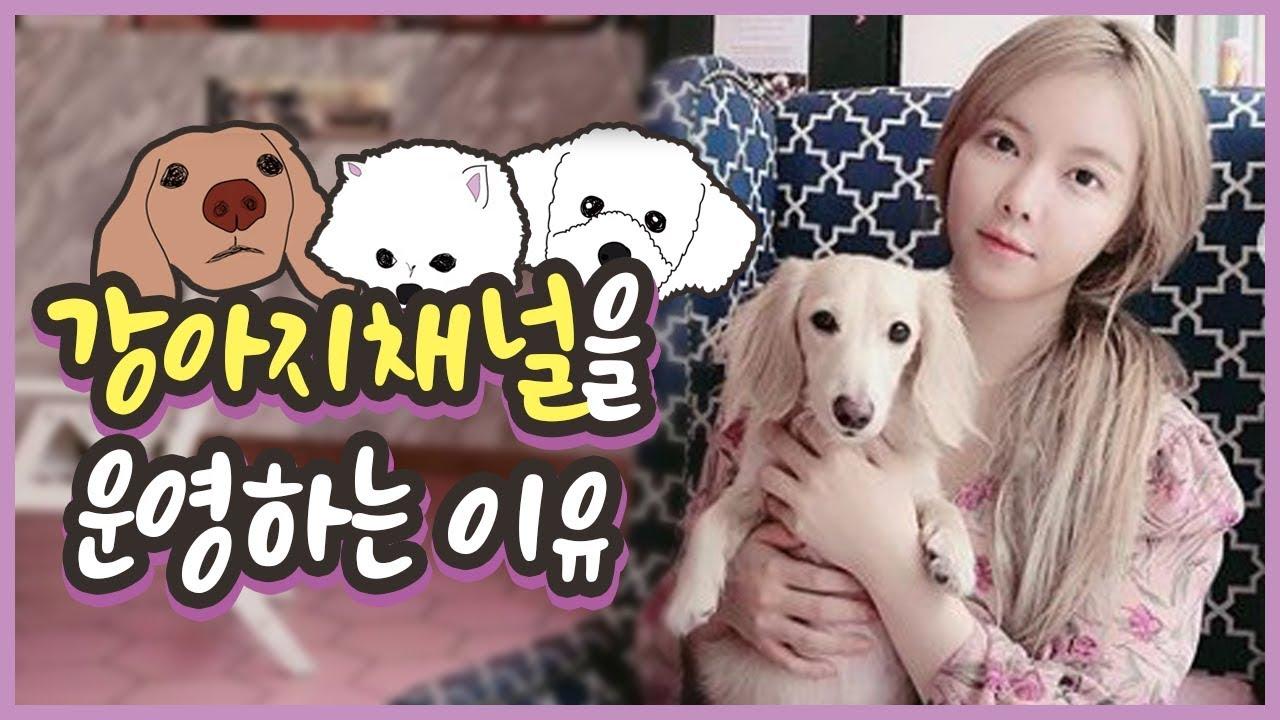 이슬이가 강아지 채널을 운영하는 마음 따뜻한 이야기