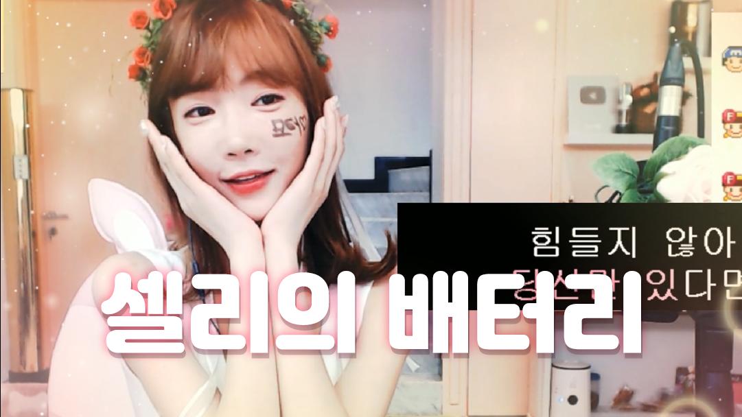 셀리 셀리의 배터리