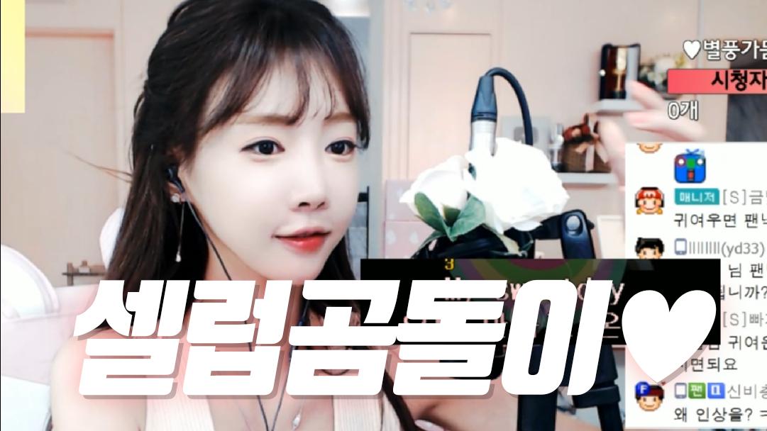 셀리 셀럽은 곰돌이
