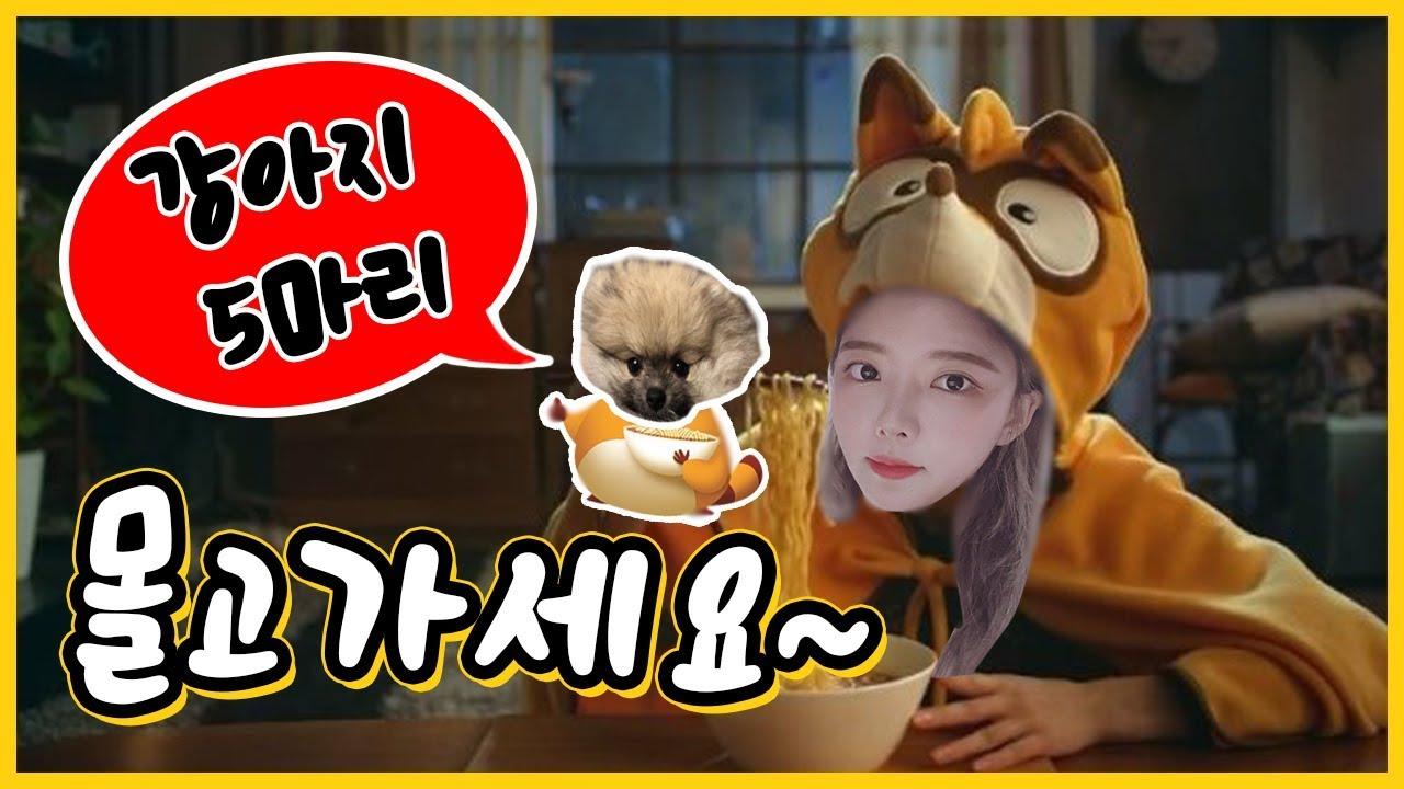 이슬이의 사랑스러운 가족들을 소개합니다
