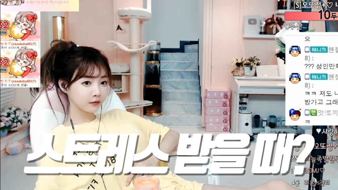 셀리 셀리가 스트레스 받을 때 하는 행동 보러가실까요~?