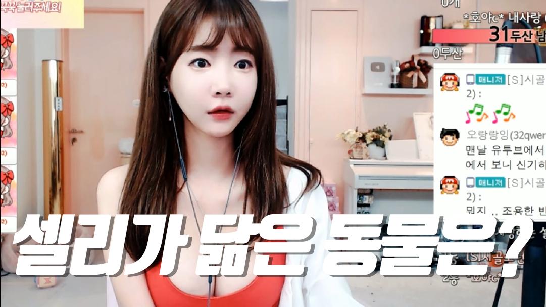 셀리 셀리가 빙의한 동물 보러가실까요~?