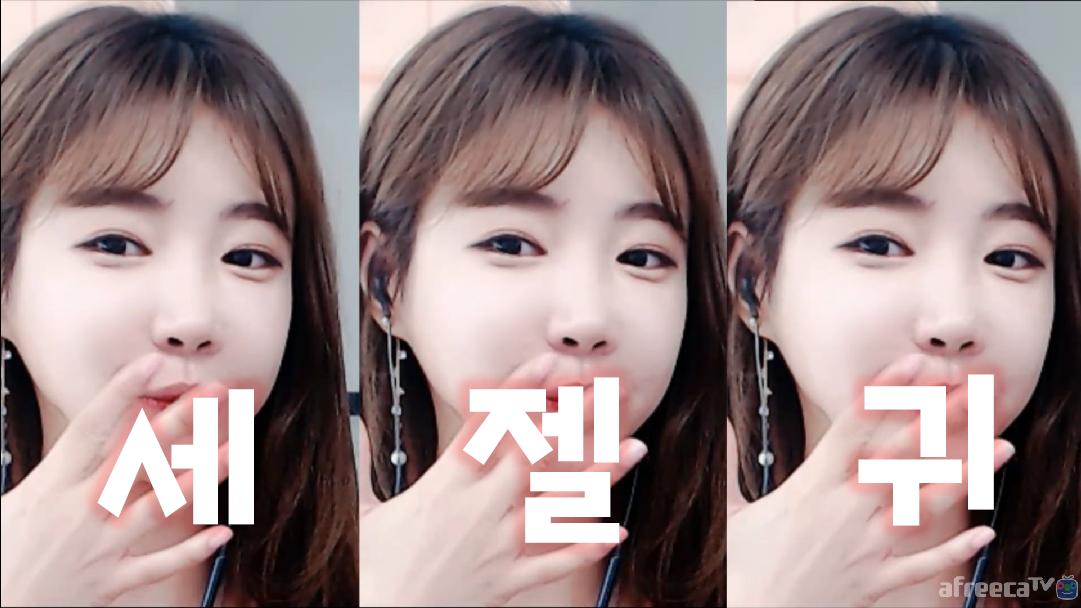 셀리 세젤귀 셀리!