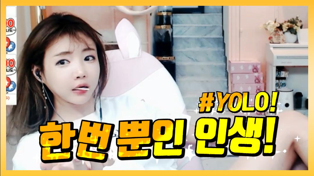 셀리 셀리의 YOLO 보러가실까요~?