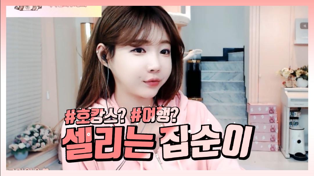 셀리 여행보다는 방콕?