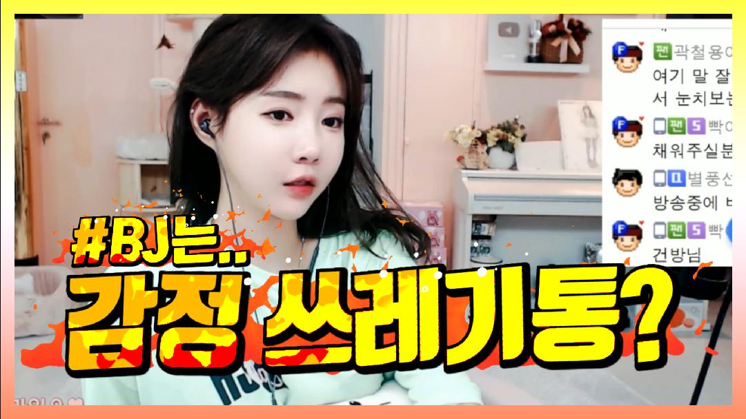 셀리 BJ가 감정 쓰레기통인가요?
