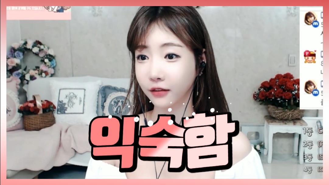 셀리 셀리에게 익숙한 모든 것들