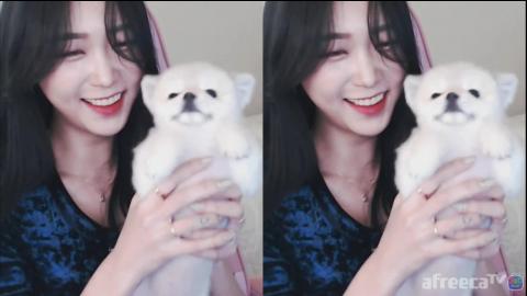 해은 :: 멍지와순이 댄씽공연 3 롤리폴리