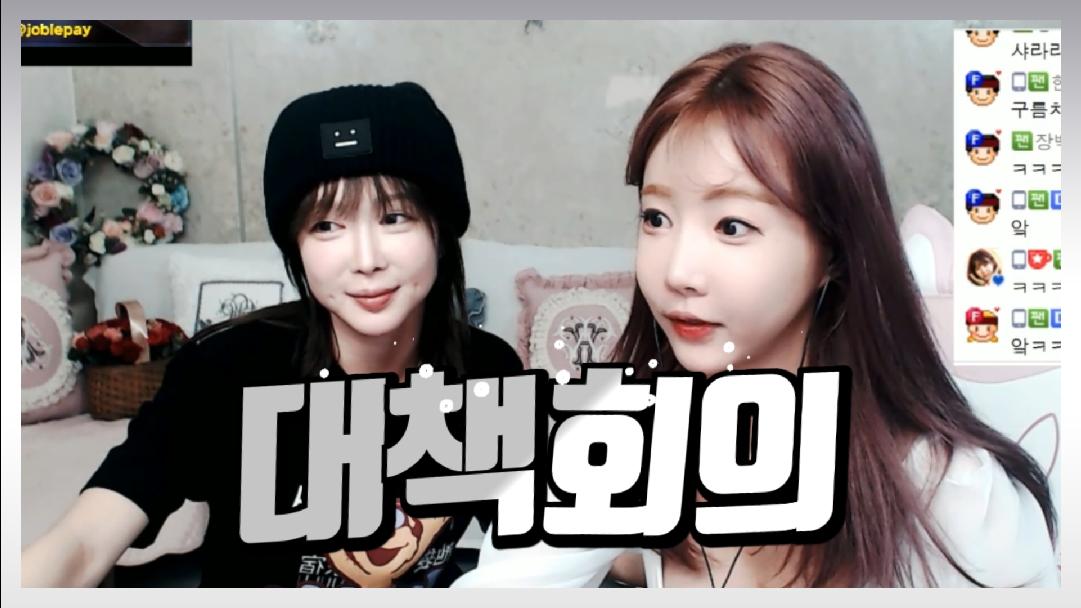 셀리 라라와 함께 대책회의!